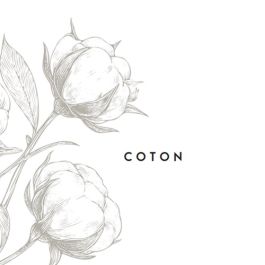 Coton