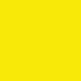Clairefontaine Trophee fluo geel 2072 80 g/m² 450 x 640 mm LL