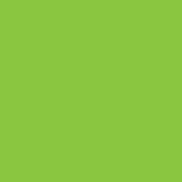 Clairefontaine Trophee fluo groen 2055 80 g/m² 450 x 640 mm LL