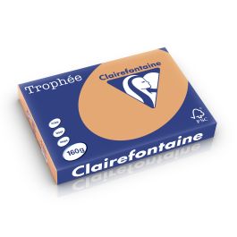 Clairefontaine Trophee pastel mokkabruin 160 g/m² 297 x 420 mm BL 1109