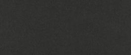 Wild black 300 g/m² 720 x 1020 mm LL 700 µ
